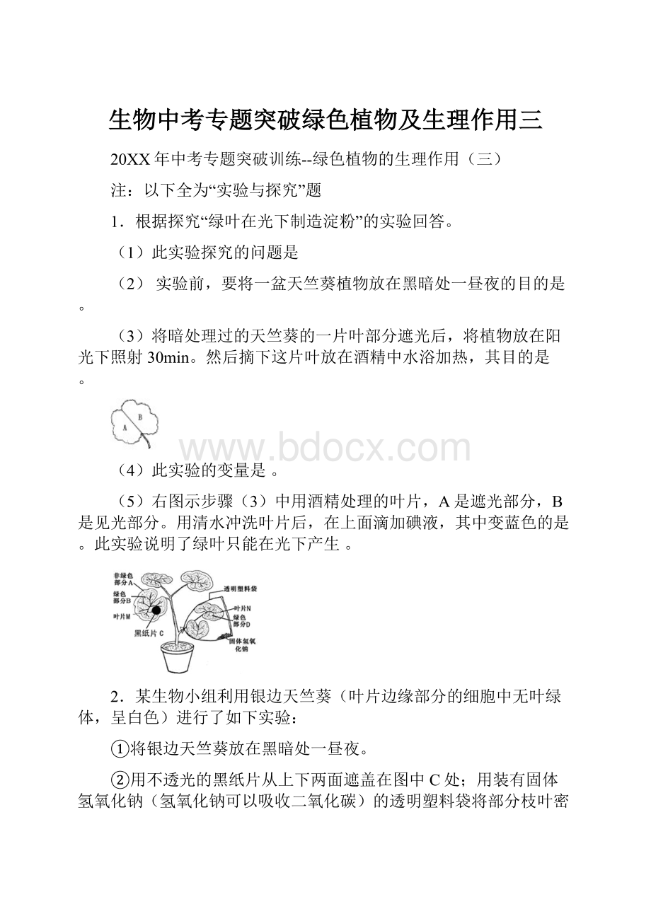 生物中考专题突破绿色植物及生理作用三.docx