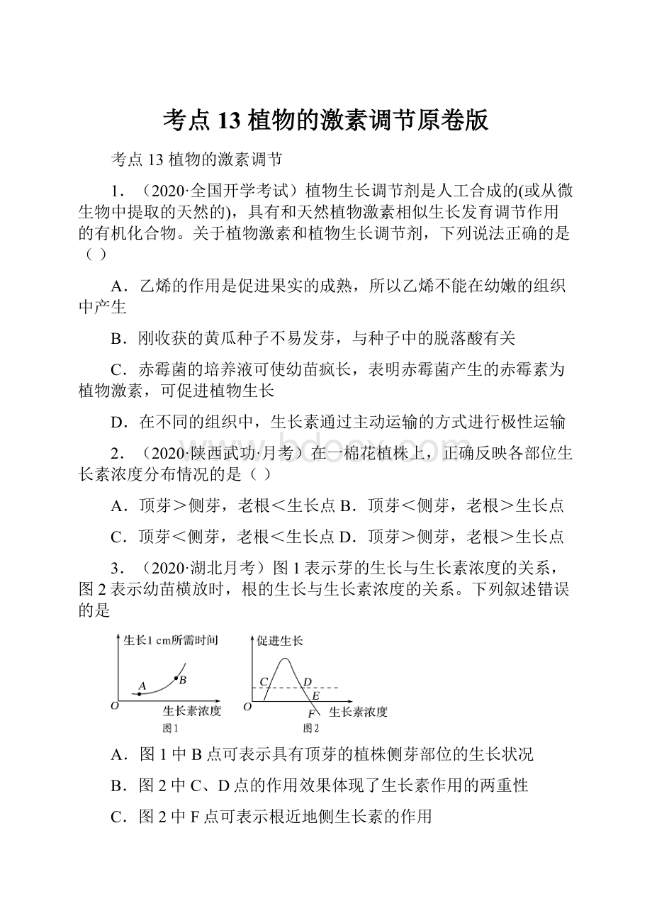 考点13 植物的激素调节原卷版.docx_第1页