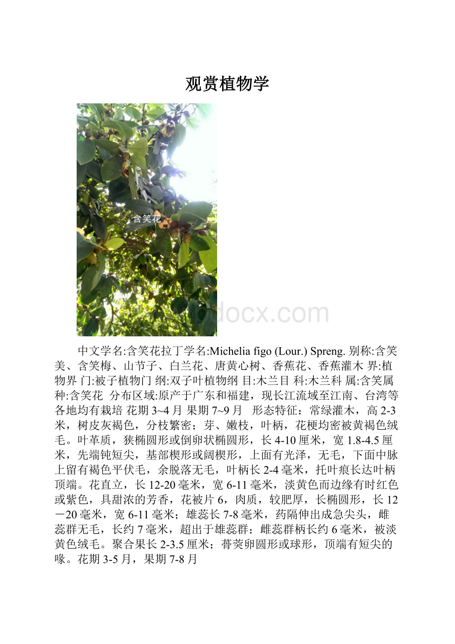 观赏植物学.docx_第1页