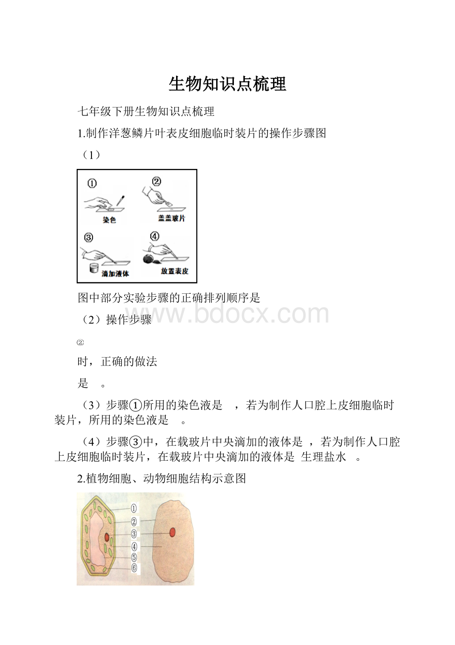 生物知识点梳理.docx_第1页