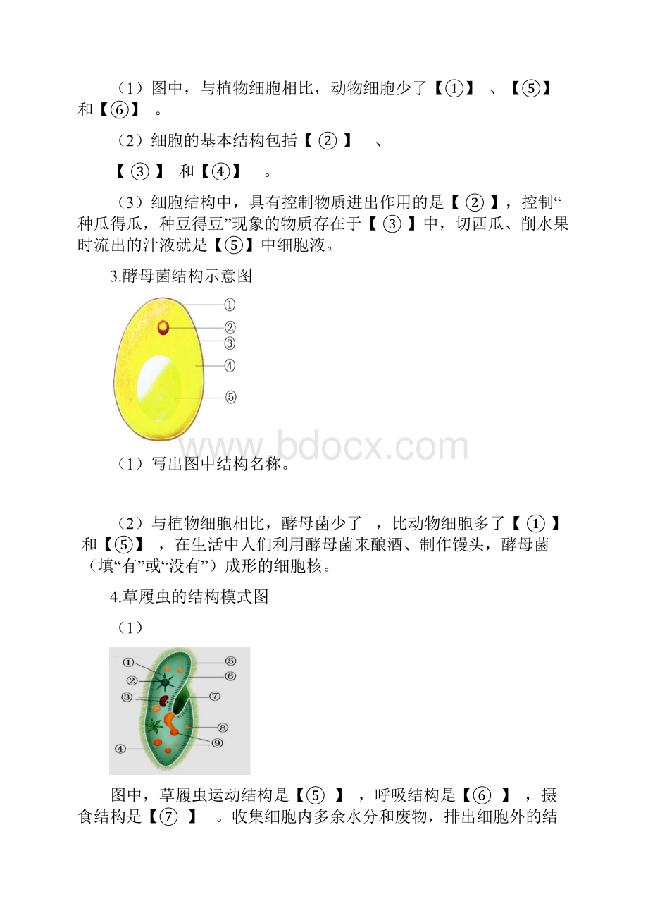 生物知识点梳理.docx_第2页