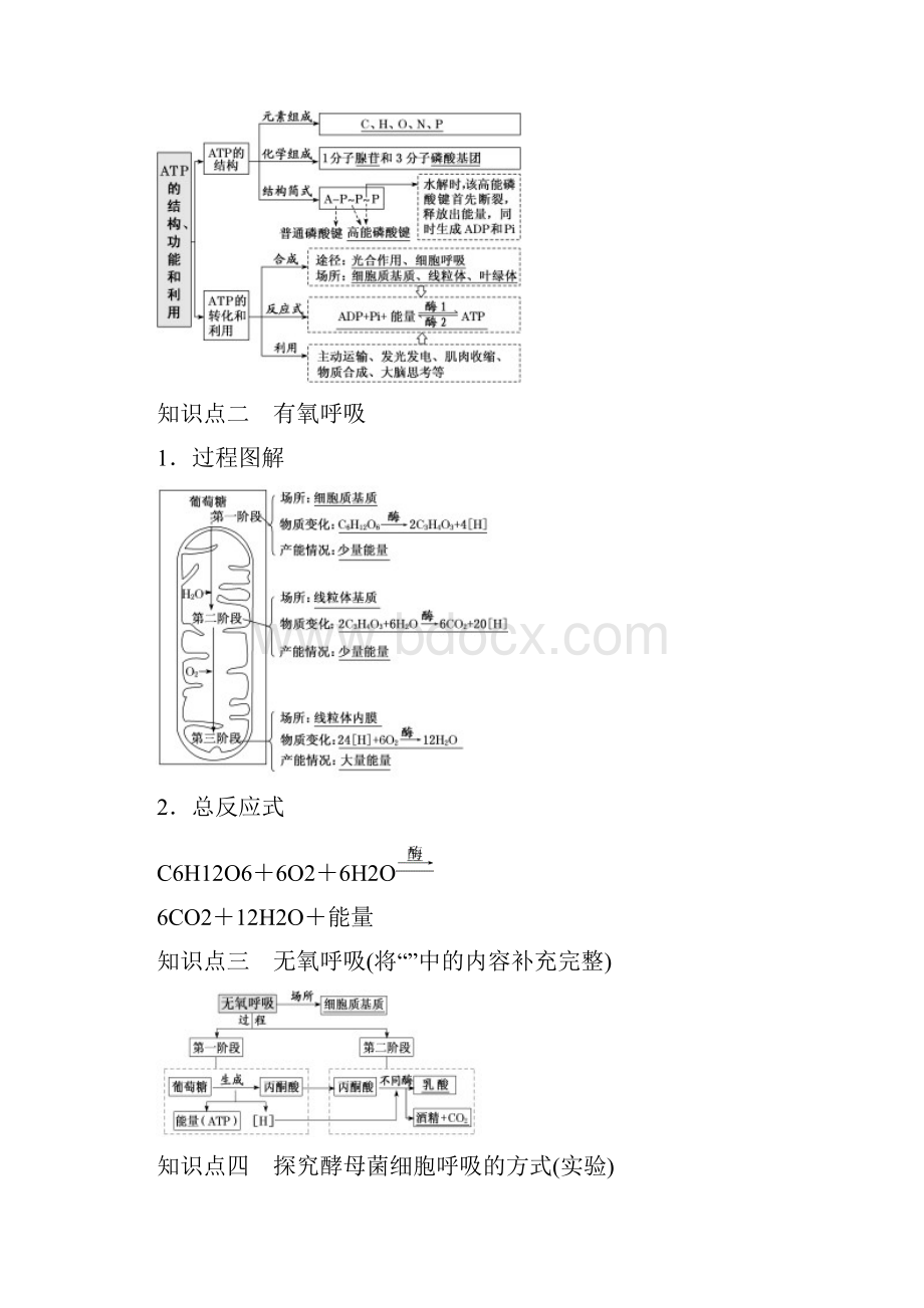 19版高考生物一轮复习第三单元细胞的能量供应和利用第二讲ATP与细胞呼吸精选教案.docx_第2页