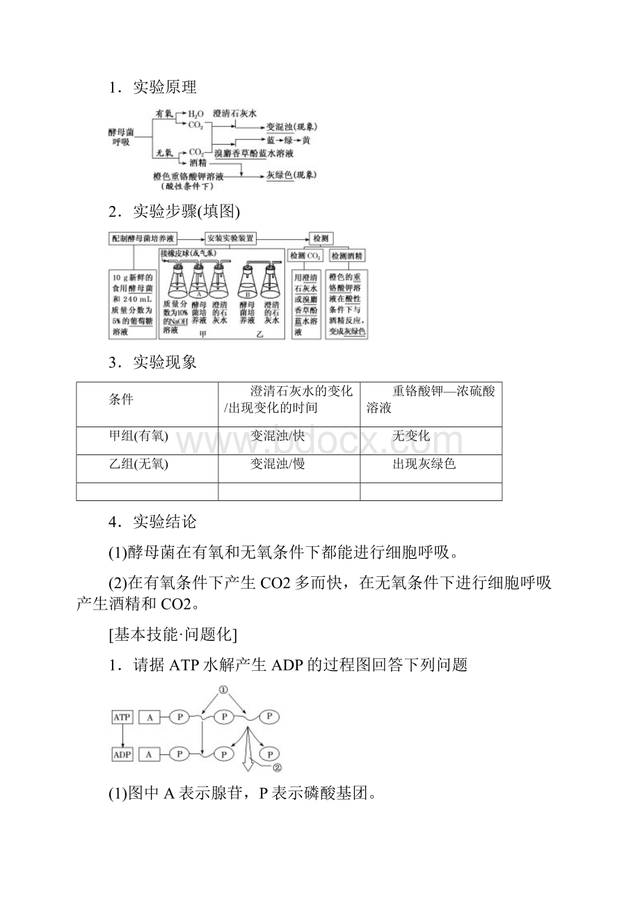 19版高考生物一轮复习第三单元细胞的能量供应和利用第二讲ATP与细胞呼吸精选教案.docx_第3页