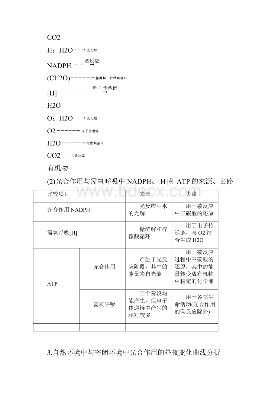 专题二 题点考法3 光合作用和细胞呼吸综合及实验探究.docx_第2页