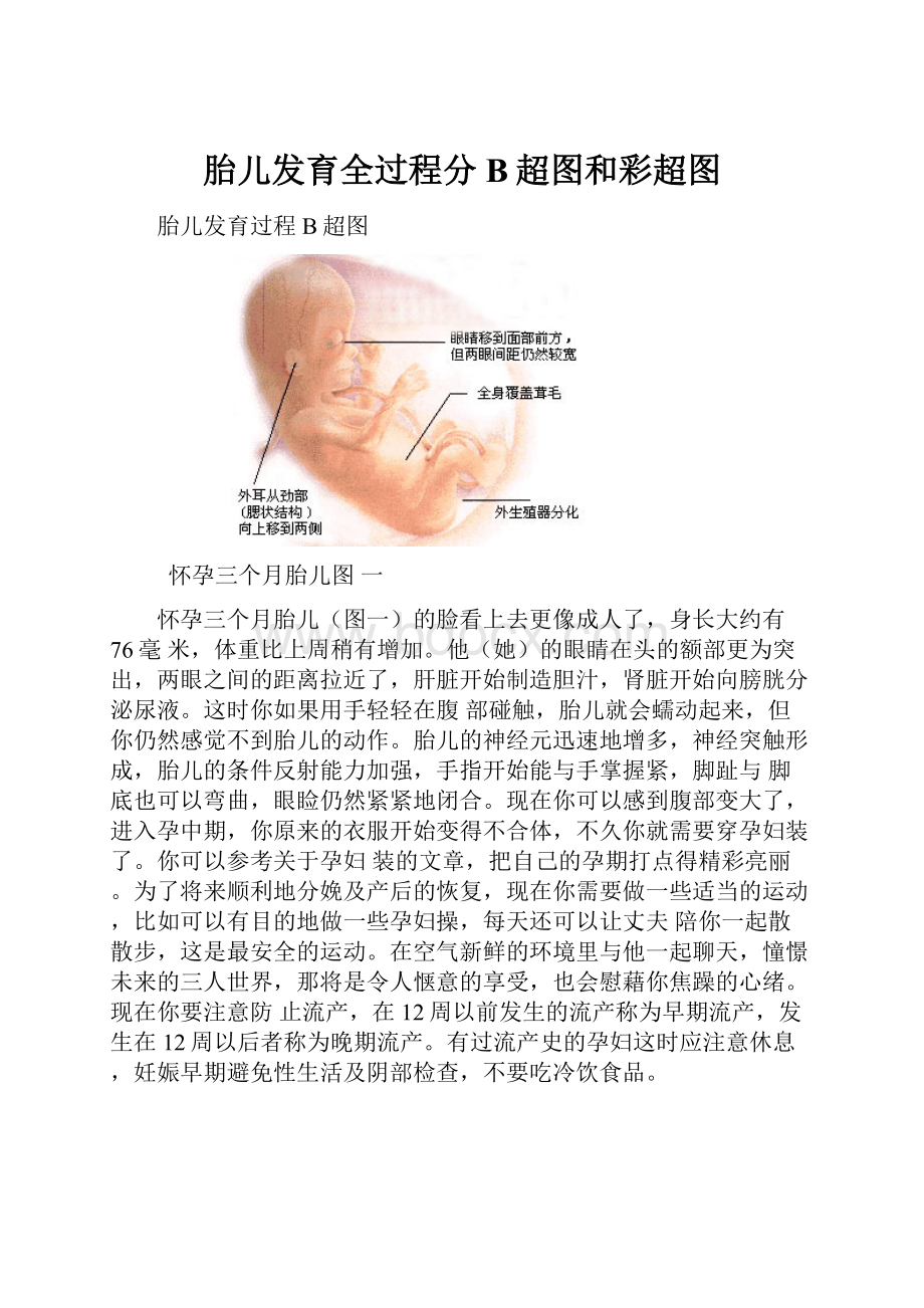 胎儿发育全过程分B超图和彩超图.docx_第1页