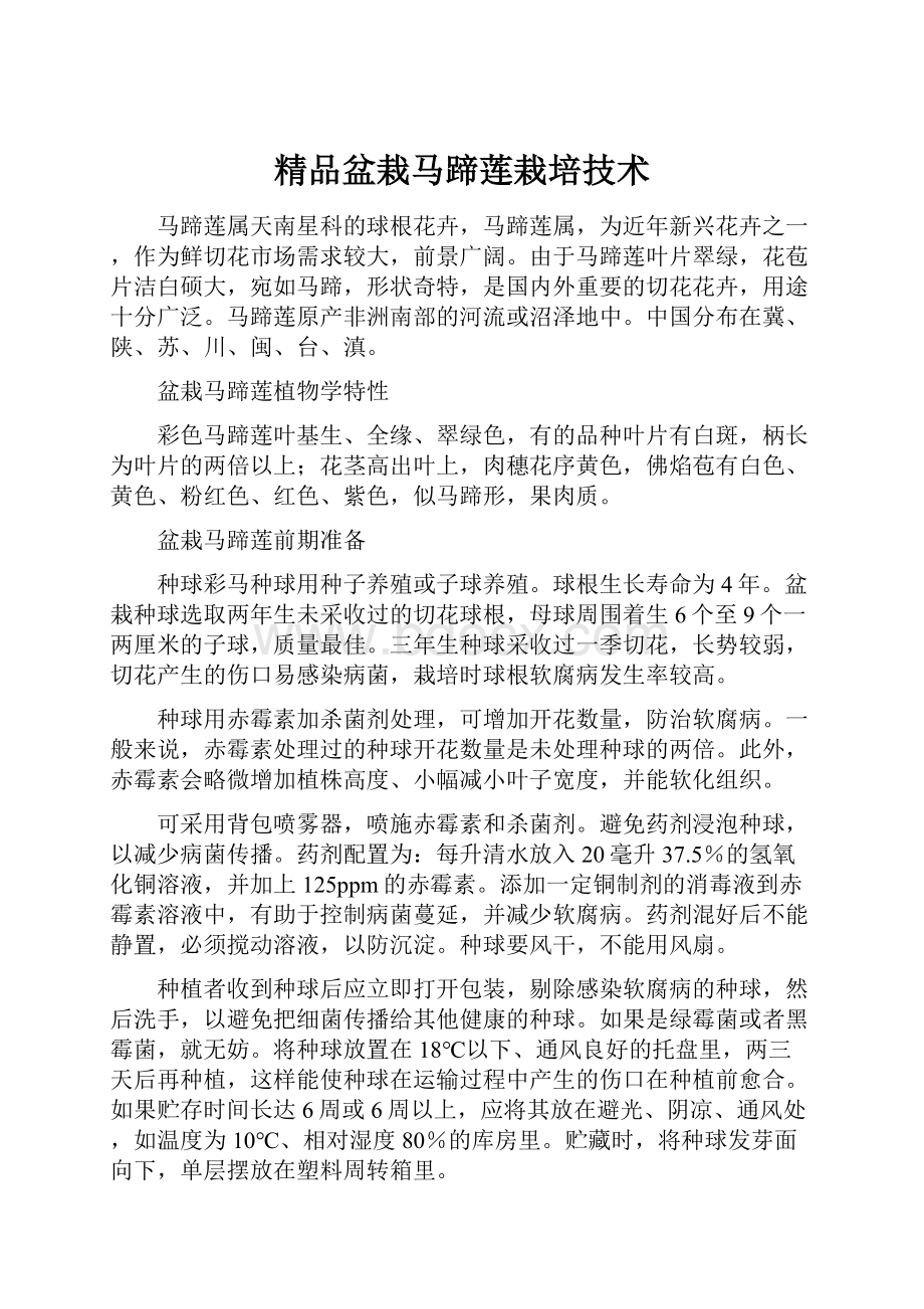 精品盆栽马蹄莲栽培技术.docx