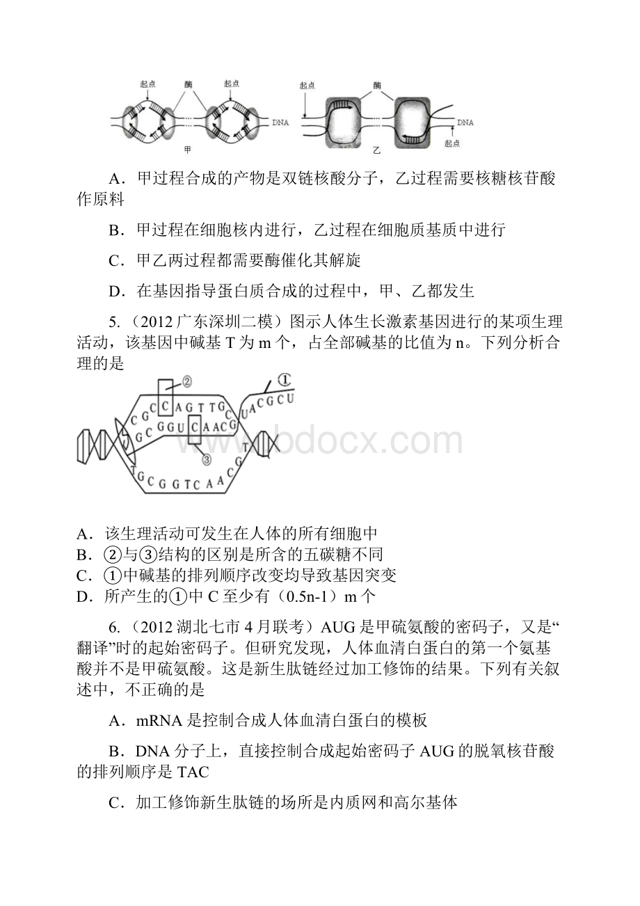 第4章基因的表达2.docx_第2页