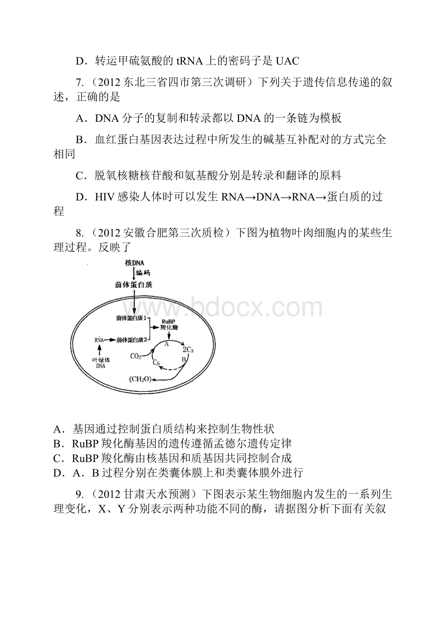 第4章基因的表达2.docx_第3页