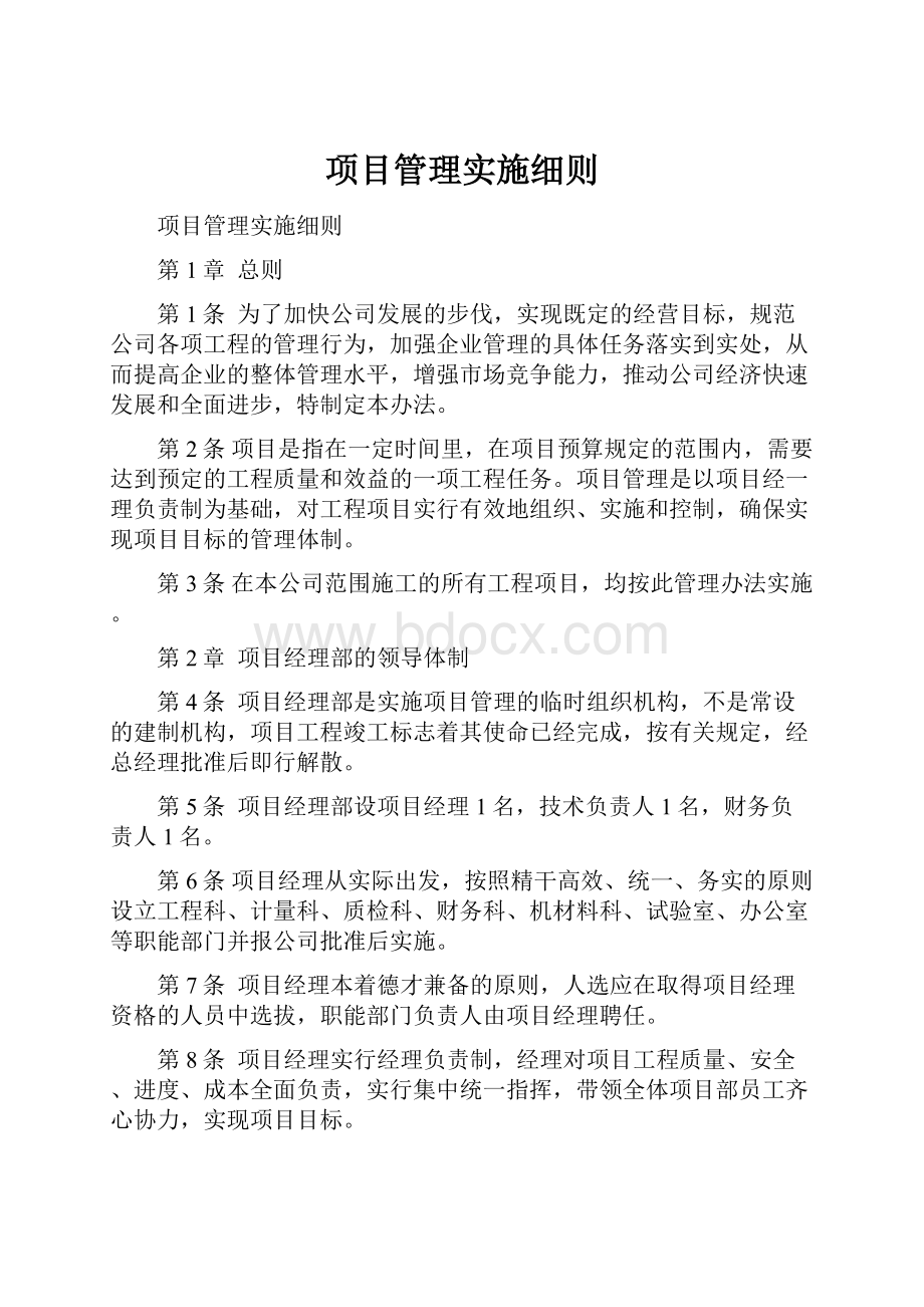 项目管理实施细则.docx