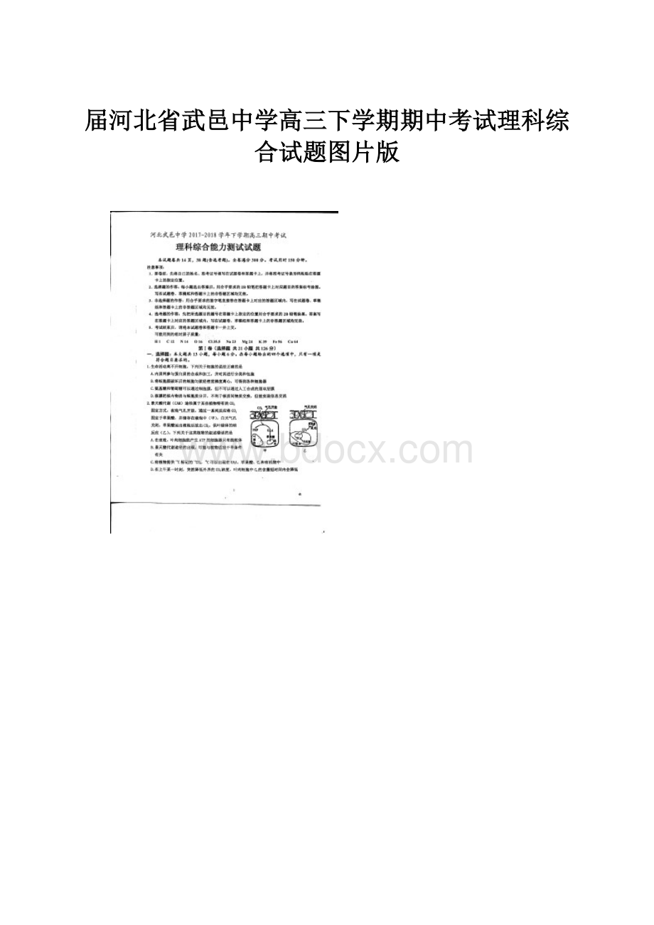 届河北省武邑中学高三下学期期中考试理科综合试题图片版.docx