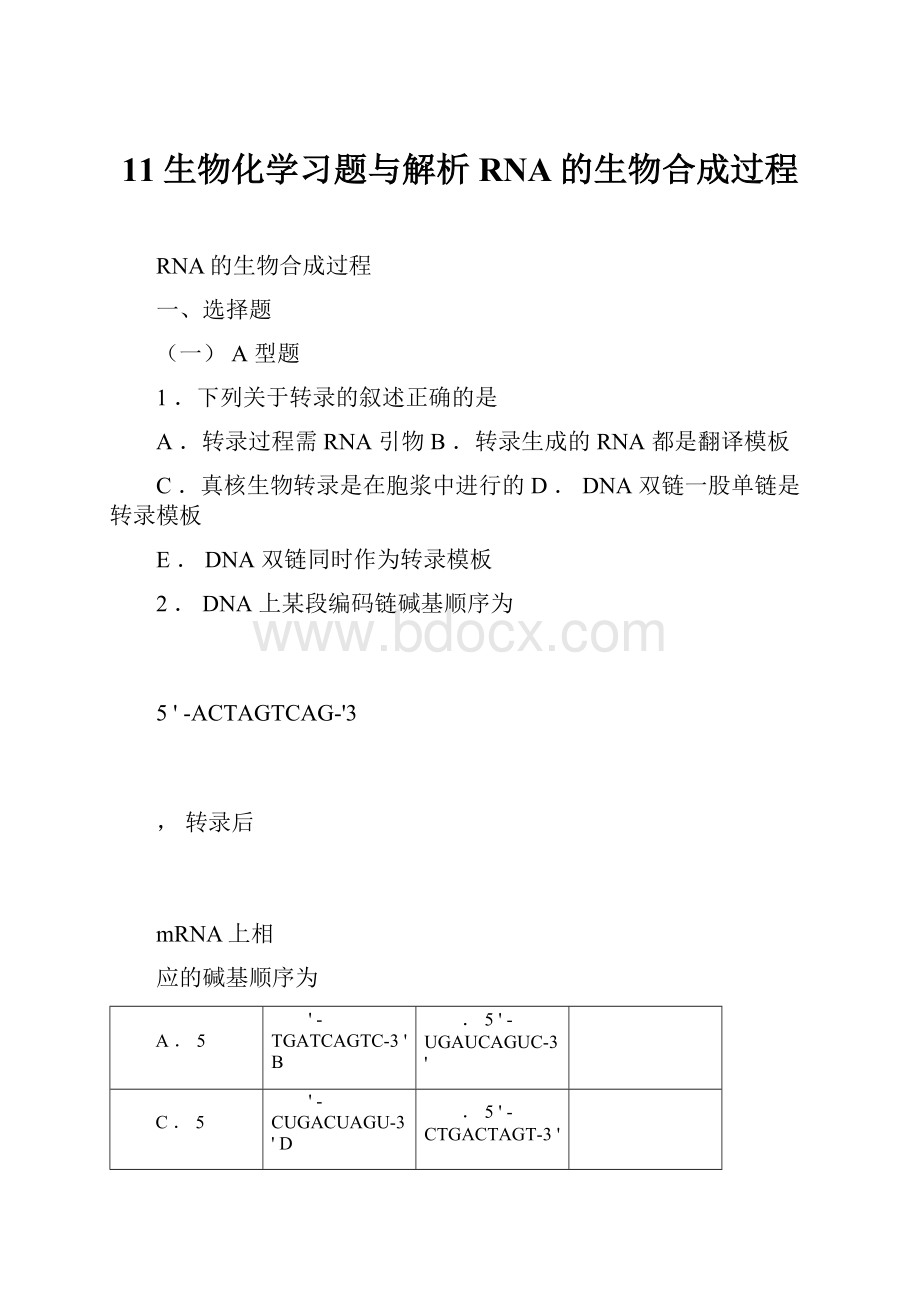 11生物化学习题与解析RNA的生物合成过程.docx