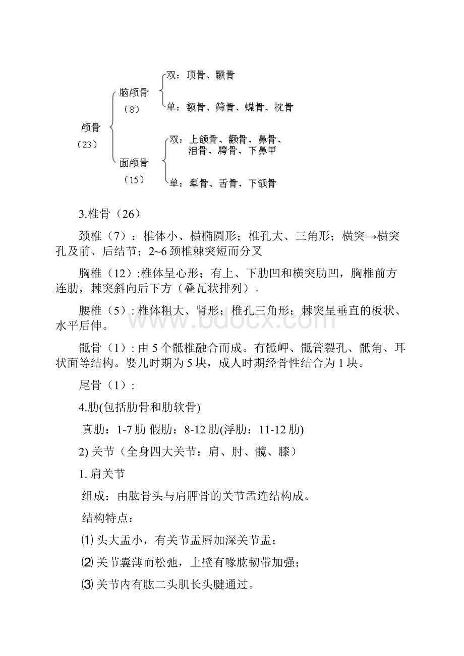 大连理工大学 解剖学复习资料.docx_第2页