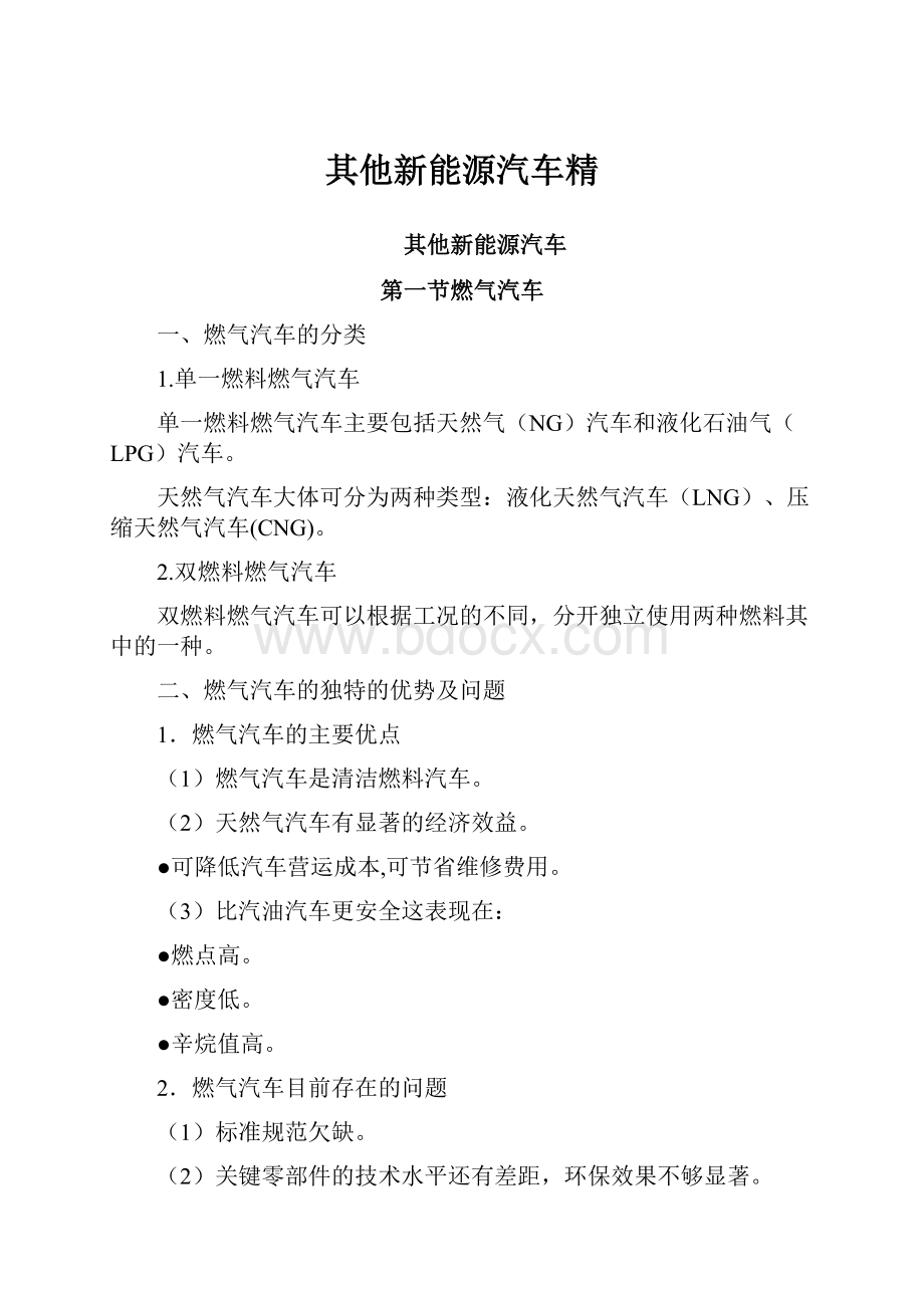 其他新能源汽车精.docx