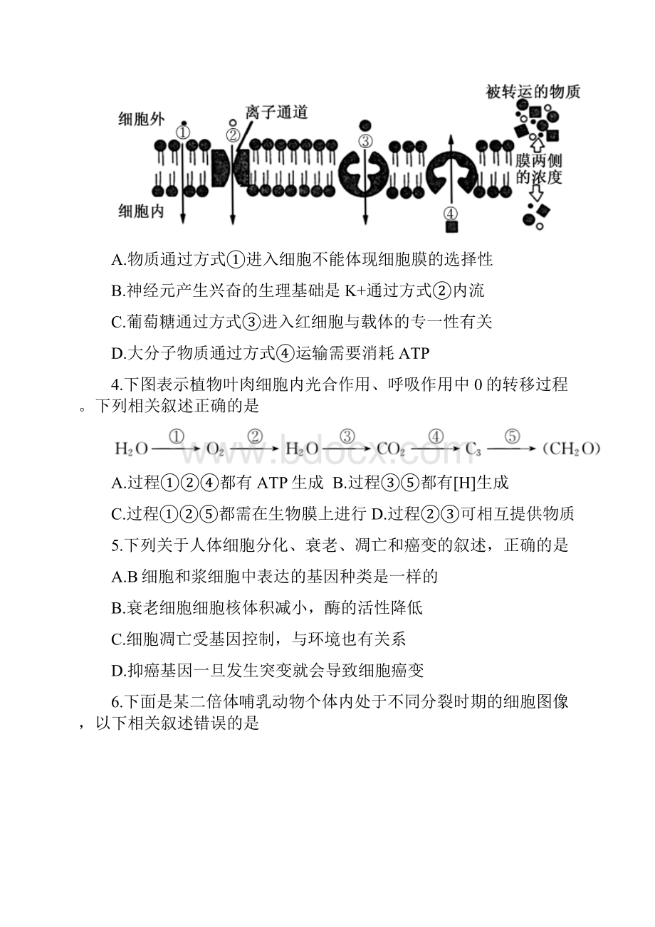 江苏省南通市高考考前卷四生物试题.docx_第2页