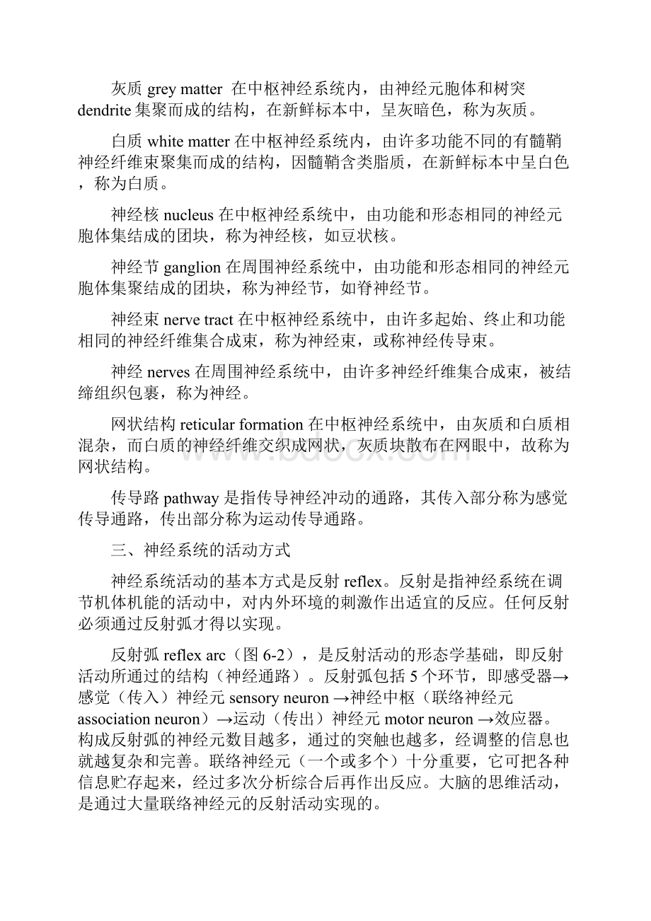 人体解剖学第八章 神经系统.docx_第3页