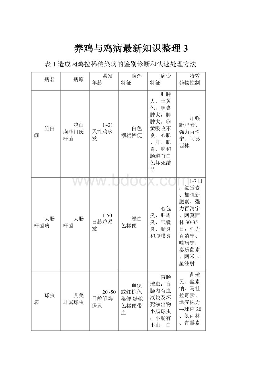 养鸡与鸡病最新知识整理 3.docx_第1页