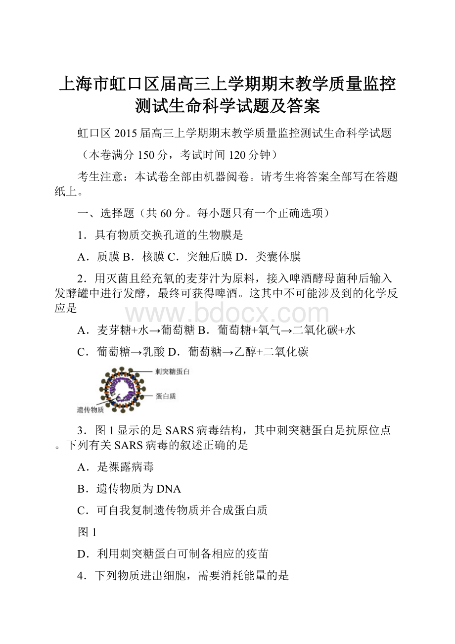 上海市虹口区届高三上学期期末教学质量监控测试生命科学试题及答案.docx_第1页