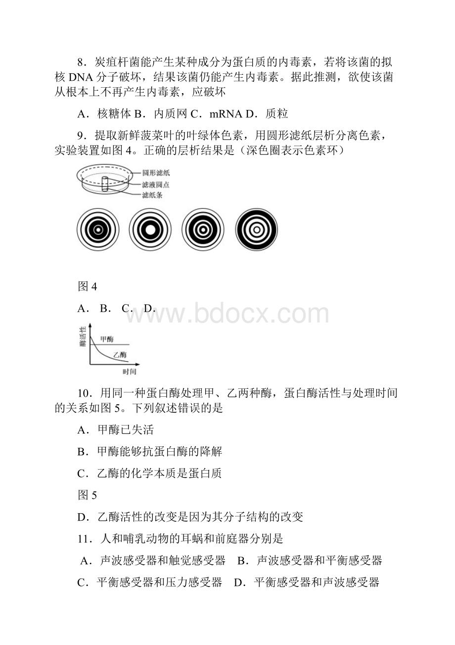 上海市虹口区届高三上学期期末教学质量监控测试生命科学试题及答案.docx_第3页