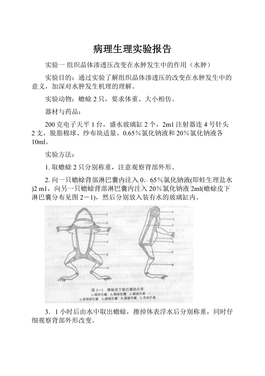 病理生理实验报告.docx