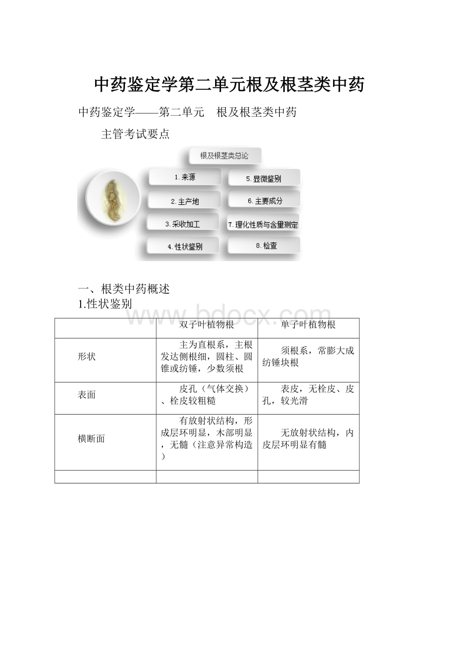 中药鉴定学第二单元根及根茎类中药.docx