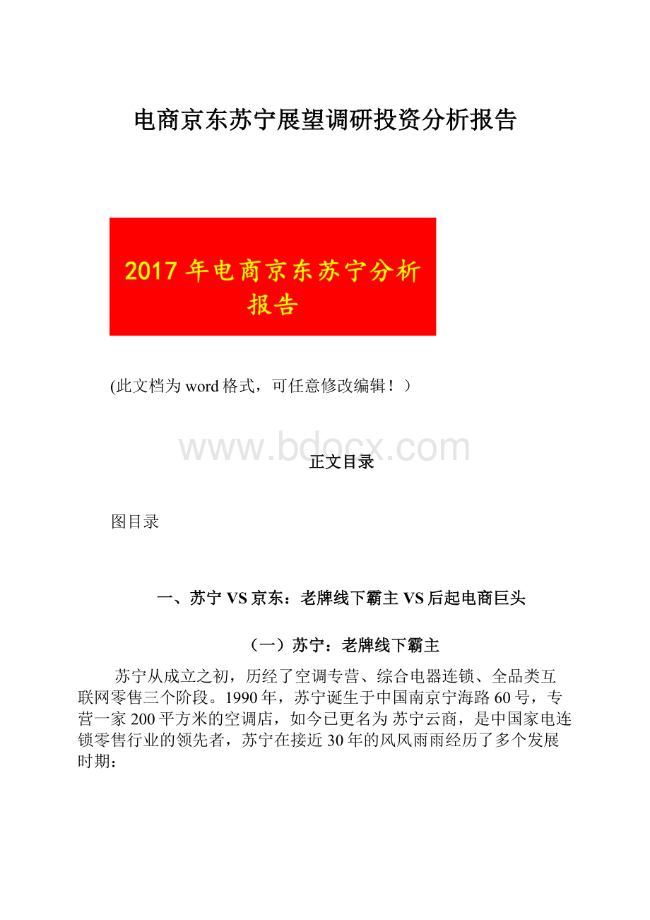 电商京东苏宁展望调研投资分析报告.docx_第1页