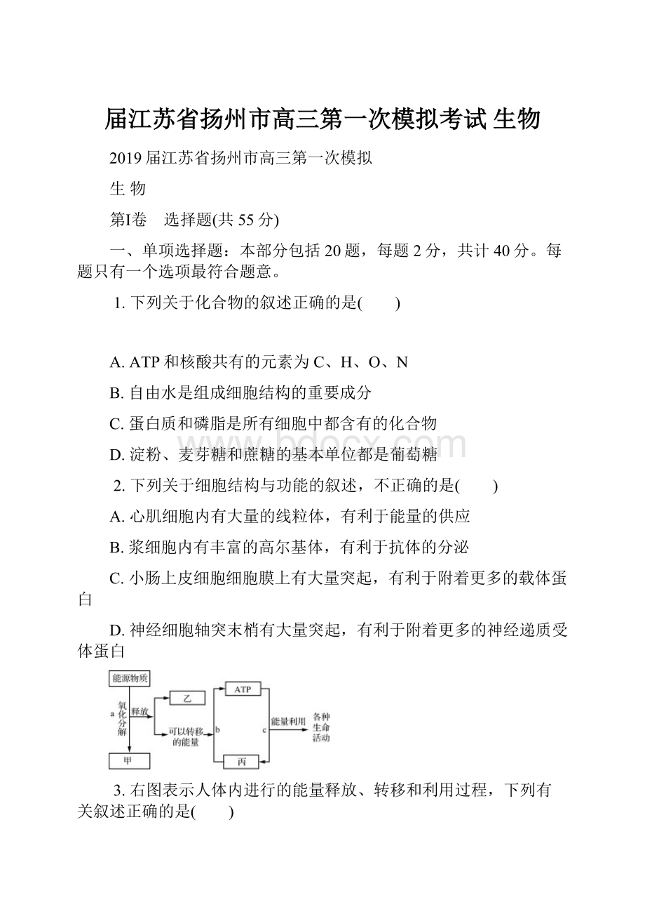 届江苏省扬州市高三第一次模拟考试 生物.docx_第1页