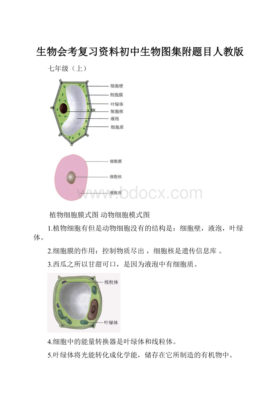 生物会考复习资料初中生物图集附题目人教版.docx