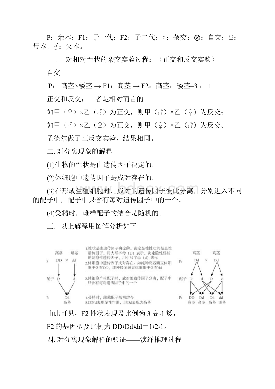 遗传与进化笔记.docx_第3页