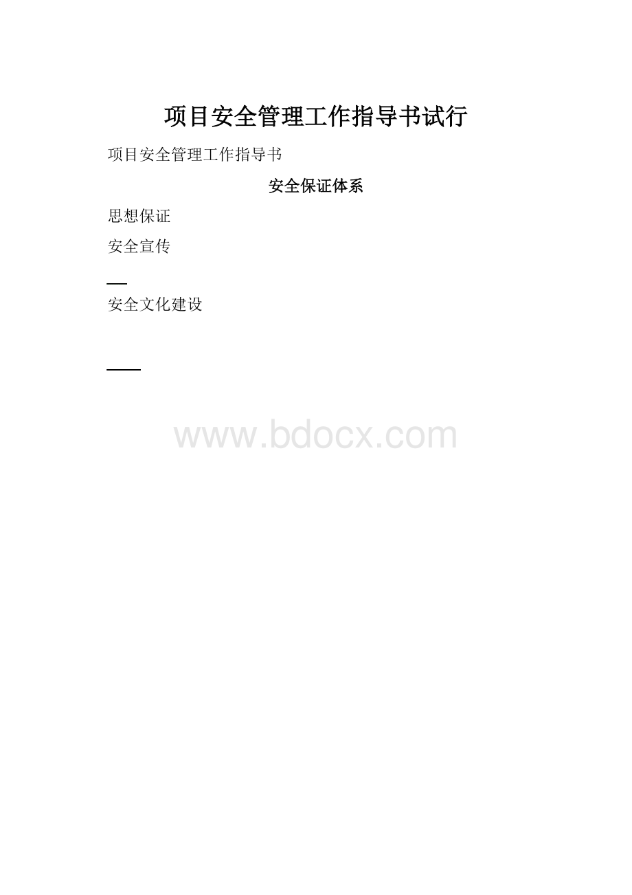 项目安全管理工作指导书试行.docx_第1页