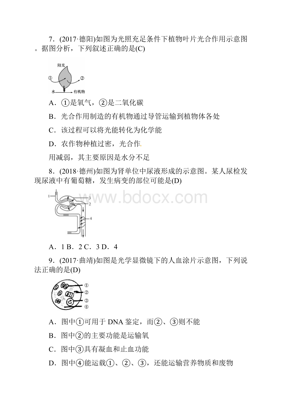 届中考生物三种题型复习含答案.docx_第3页