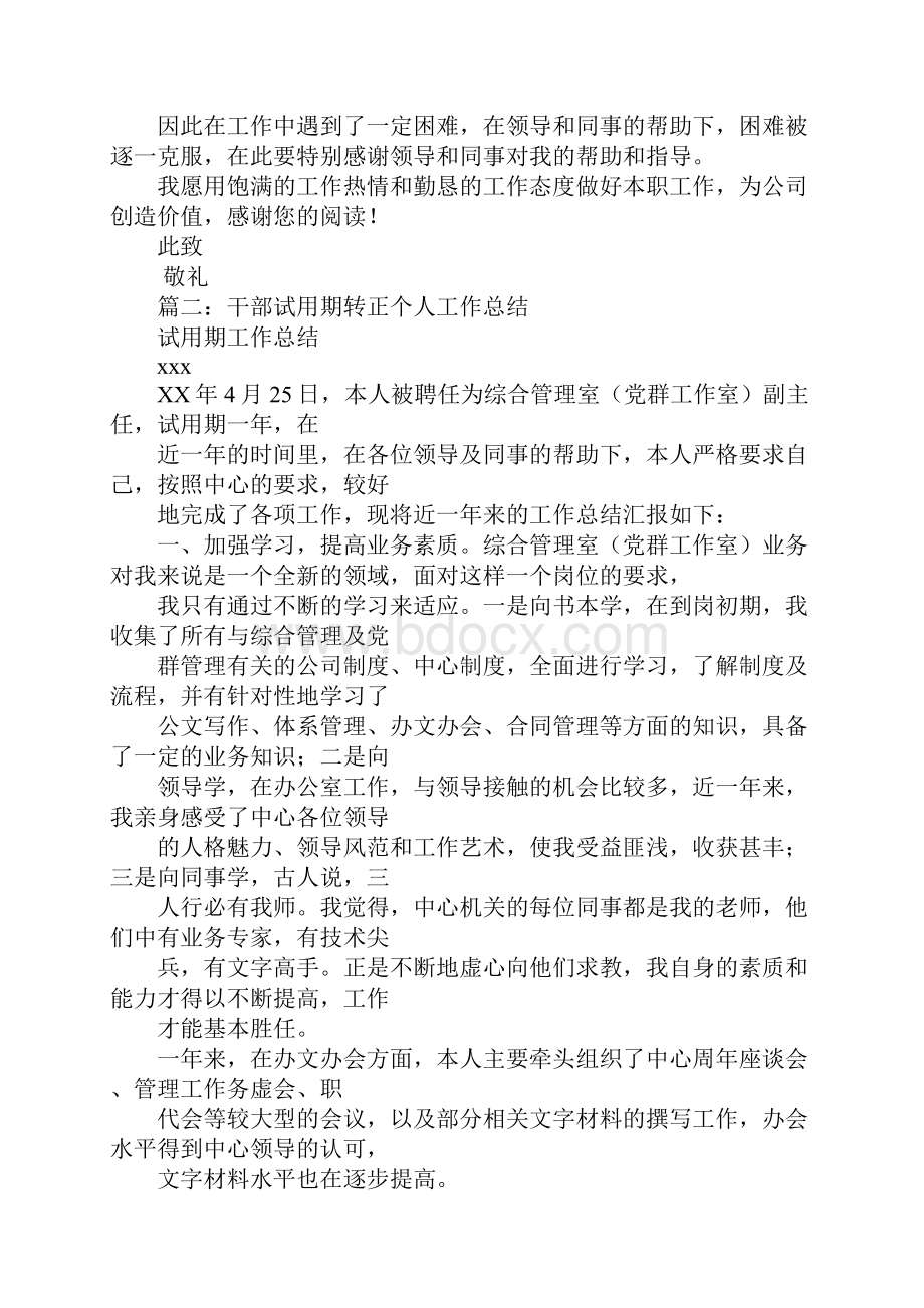 团委试用期工作总结.docx_第2页