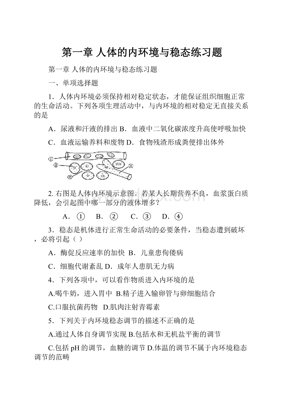 第一章 人体的内环境与稳态练习题.docx_第1页