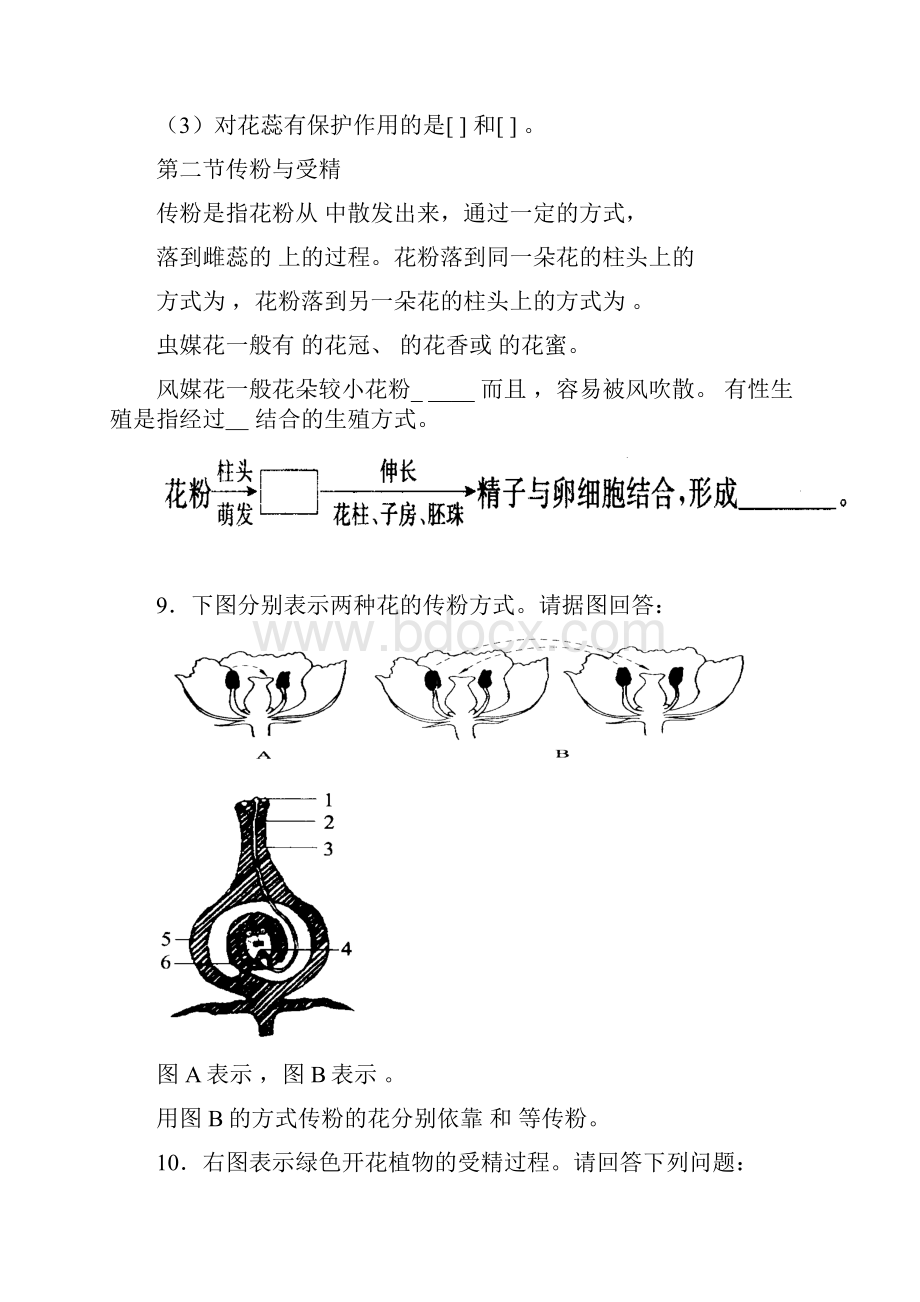 生物复习.docx_第2页