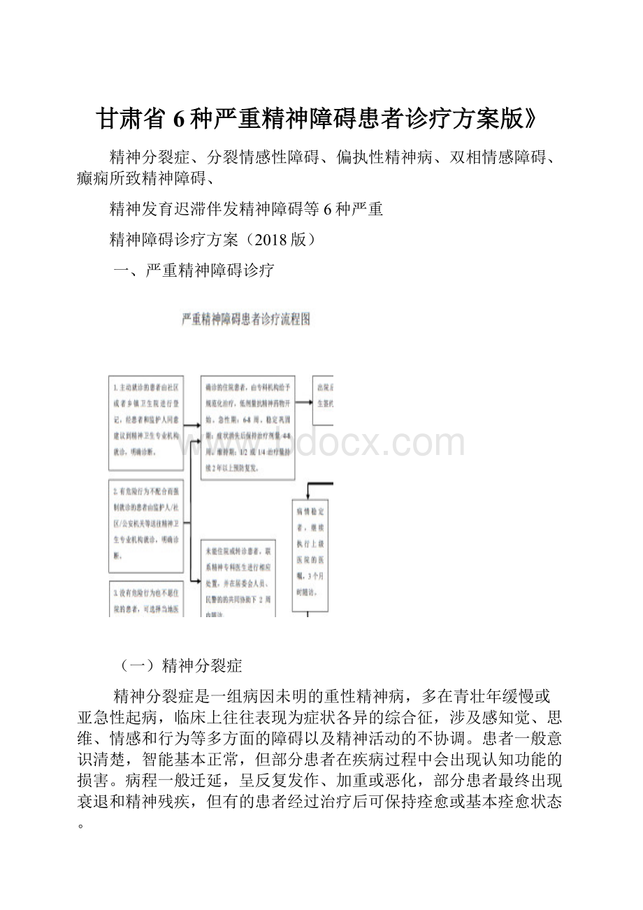 甘肃省6种严重精神障碍患者诊疗方案版》.docx_第1页