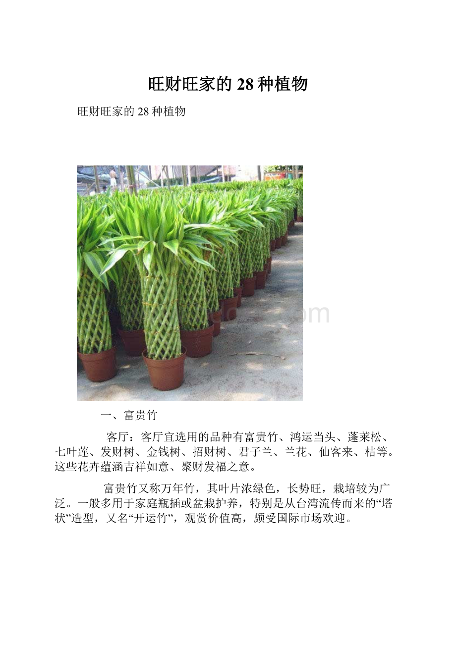 旺财旺家的28种植物.docx_第1页