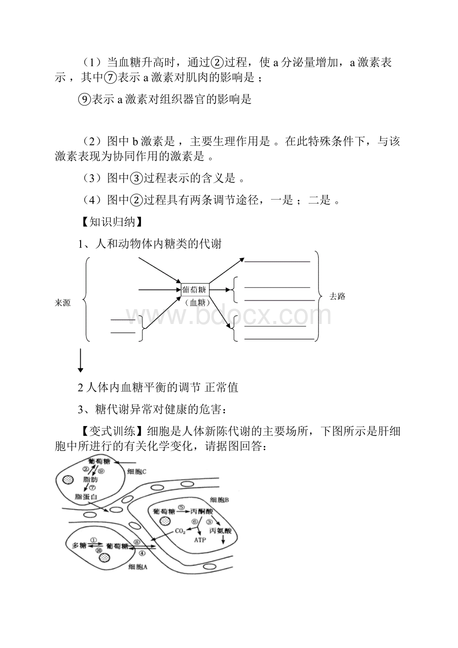 高三生物二轮复习人和动物体的新陈代谢专题附答案.docx_第3页