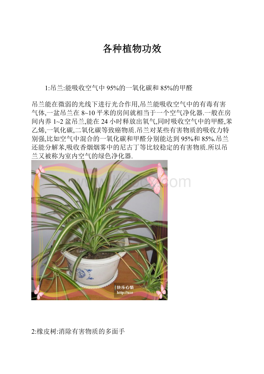 各种植物功效.docx