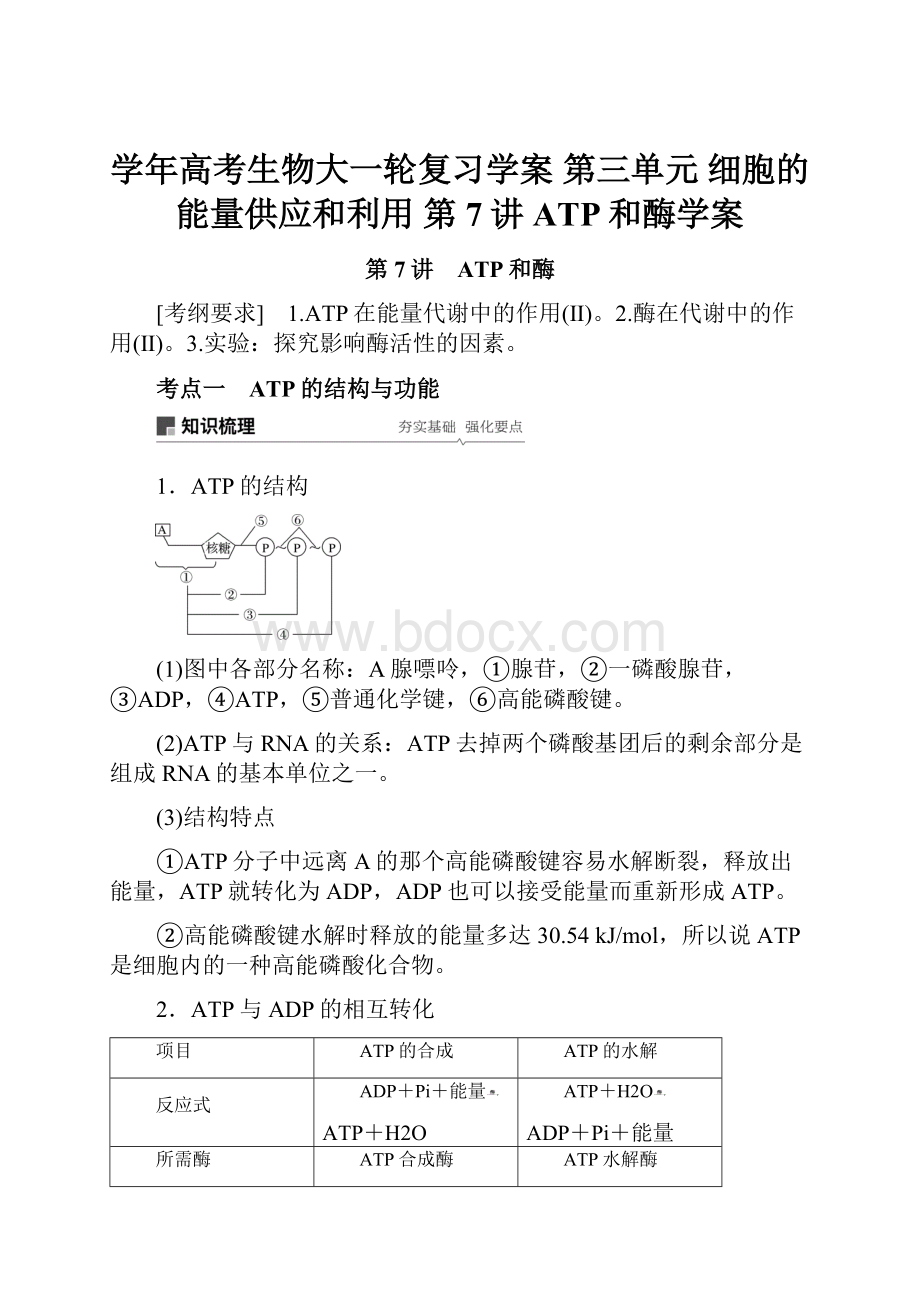 学年高考生物大一轮复习学案 第三单元 细胞的能量供应和利用 第7讲 ATP和酶学案.docx