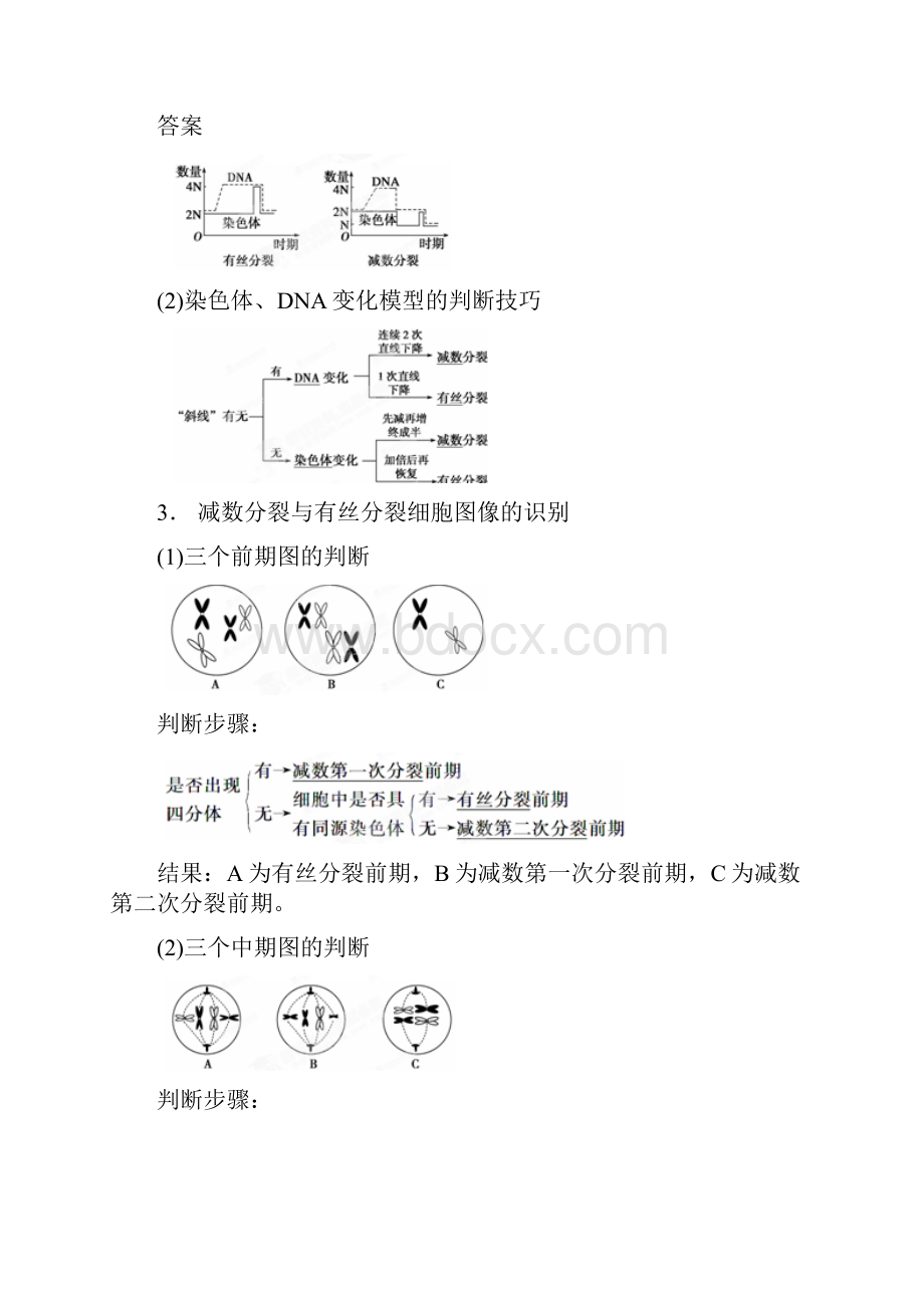 重庆市分水镇高三生物第2章基因和染色体的关系考点二比较减数分裂与有丝分裂复习2.docx_第2页