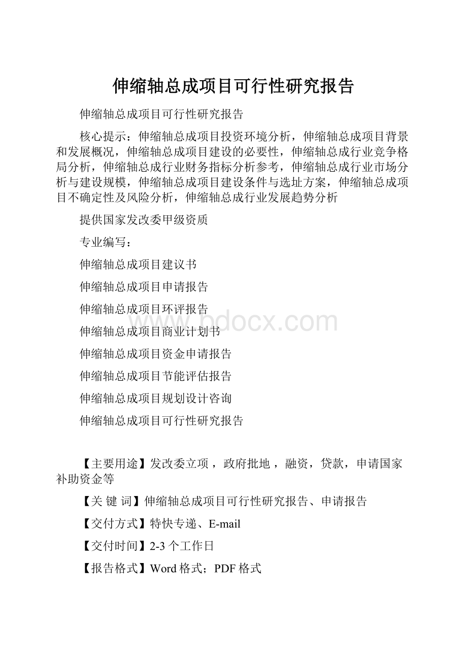 伸缩轴总成项目可行性研究报告.docx