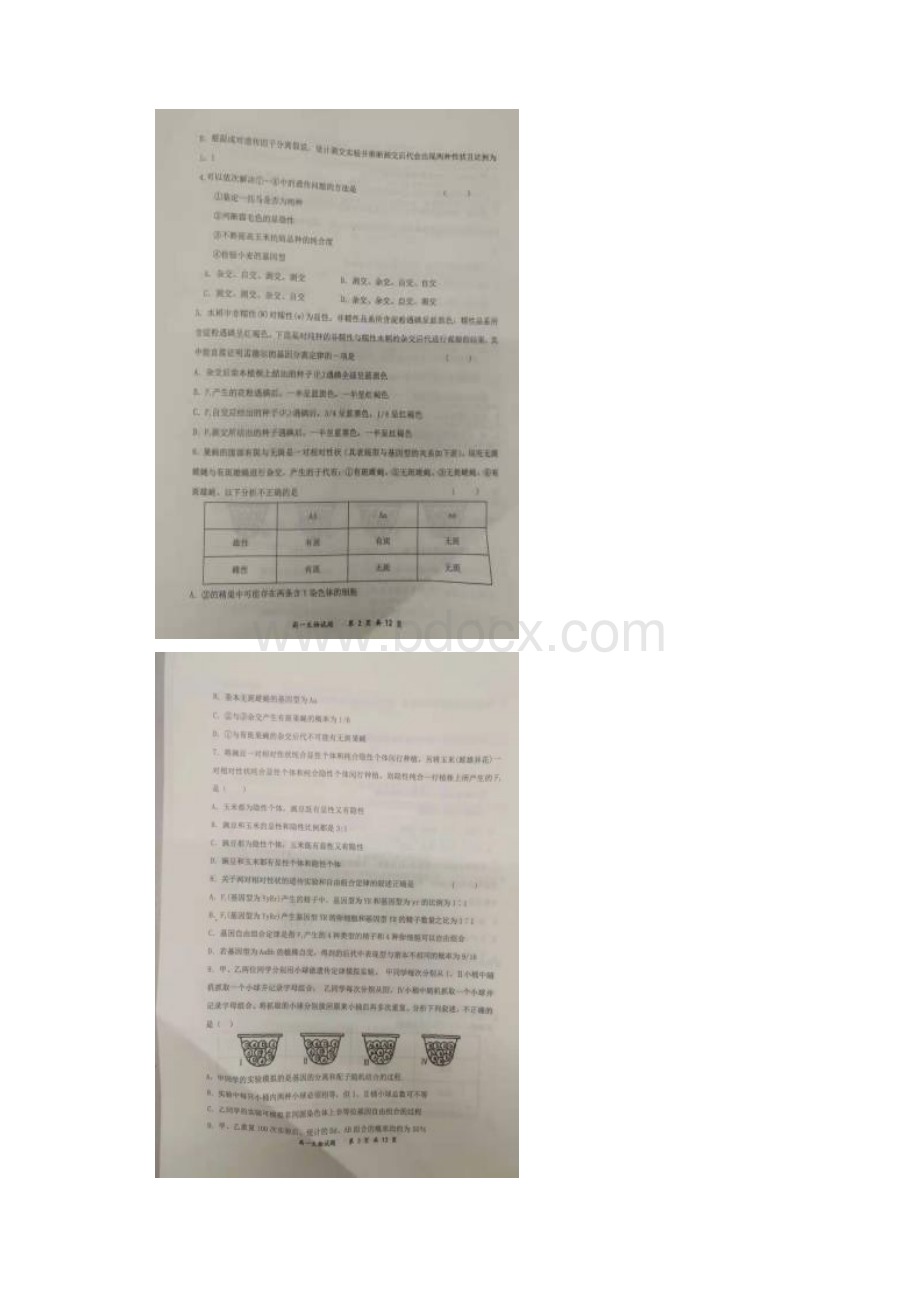 河南省八市重点高中联盟高一下学期领军考试生物试题.docx_第2页