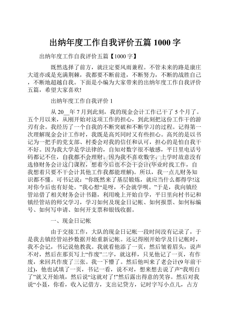 出纳年度工作自我评价五篇1000字.docx