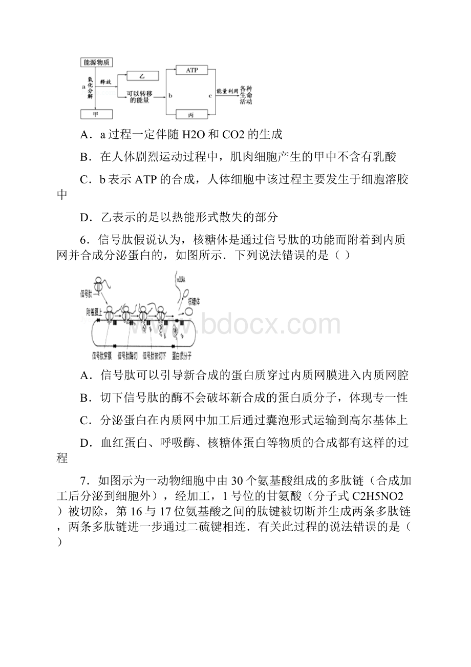 1516学年下学期高一期中考试生物试题附答案4.docx_第3页