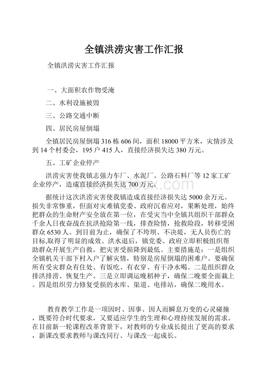 全镇洪涝灾害工作汇报.docx