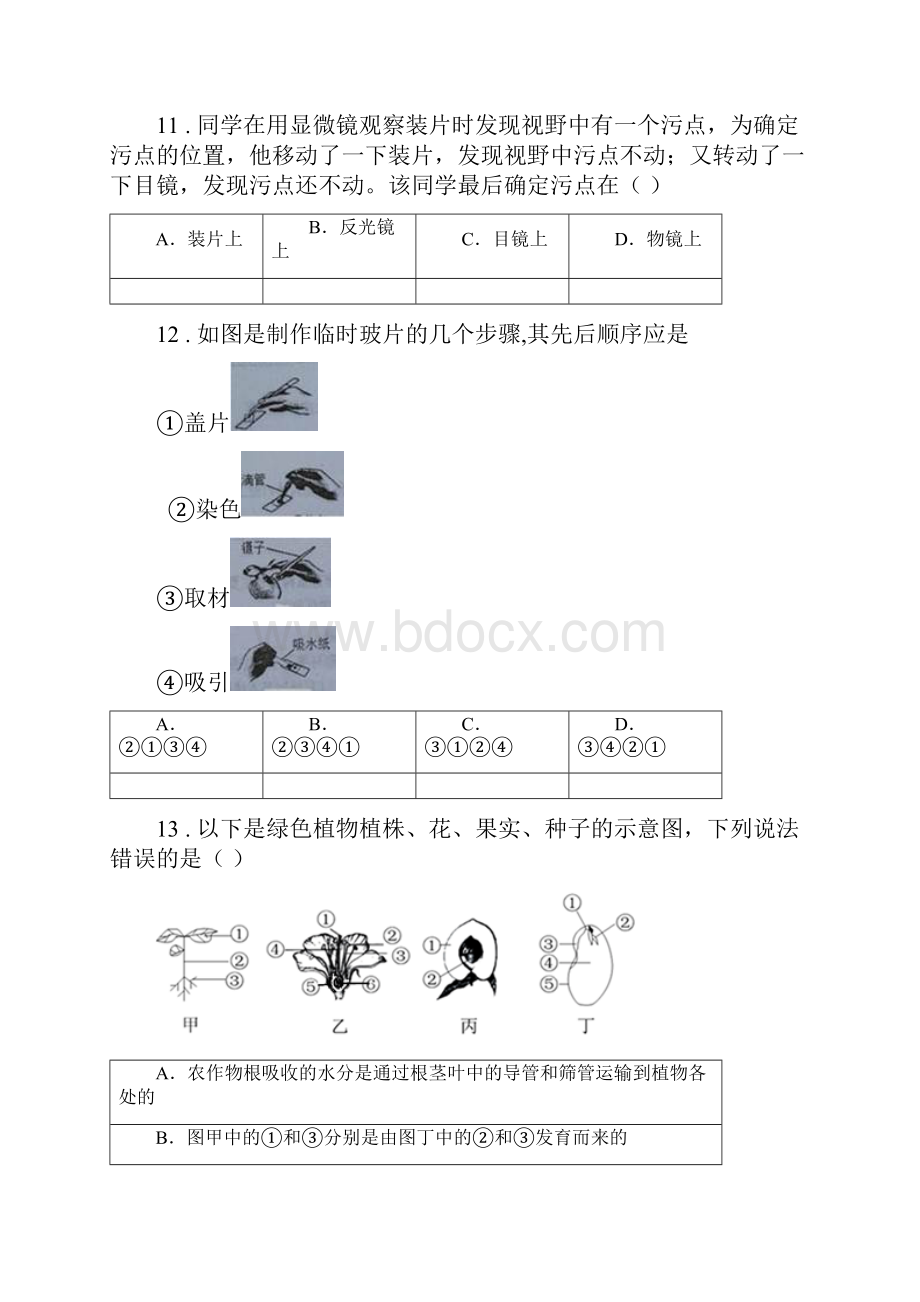 人教版新课程标准度七年级上学期期末生物试题II卷新编.docx_第3页