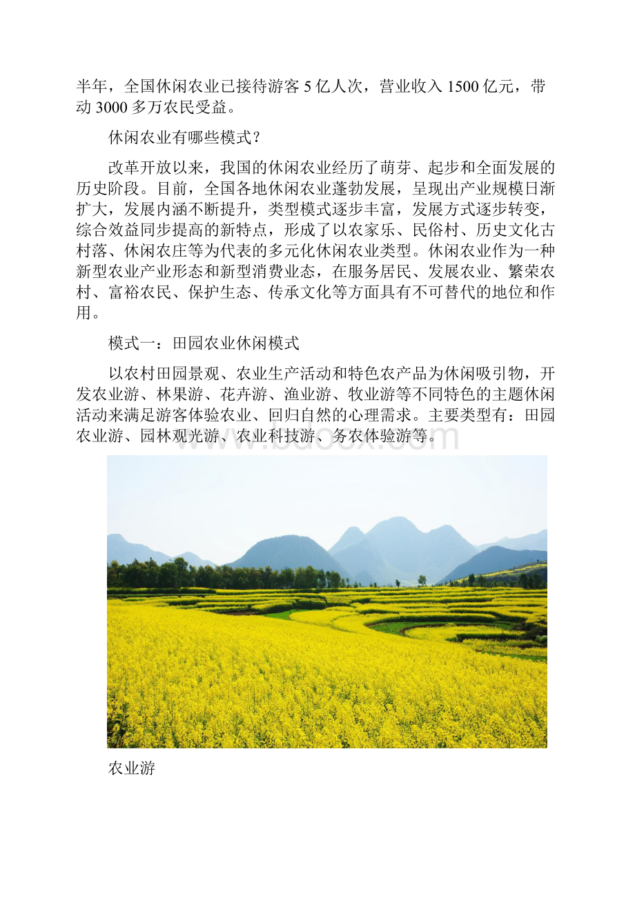 休闲农业乐冬.docx_第2页