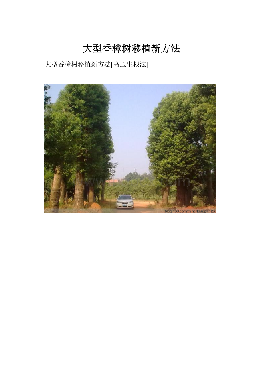 大型香樟树移植新方法.docx