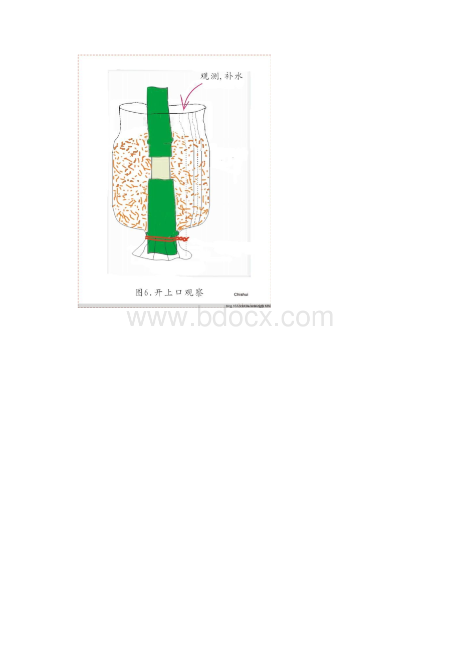 大型香樟树移植新方法.docx_第3页