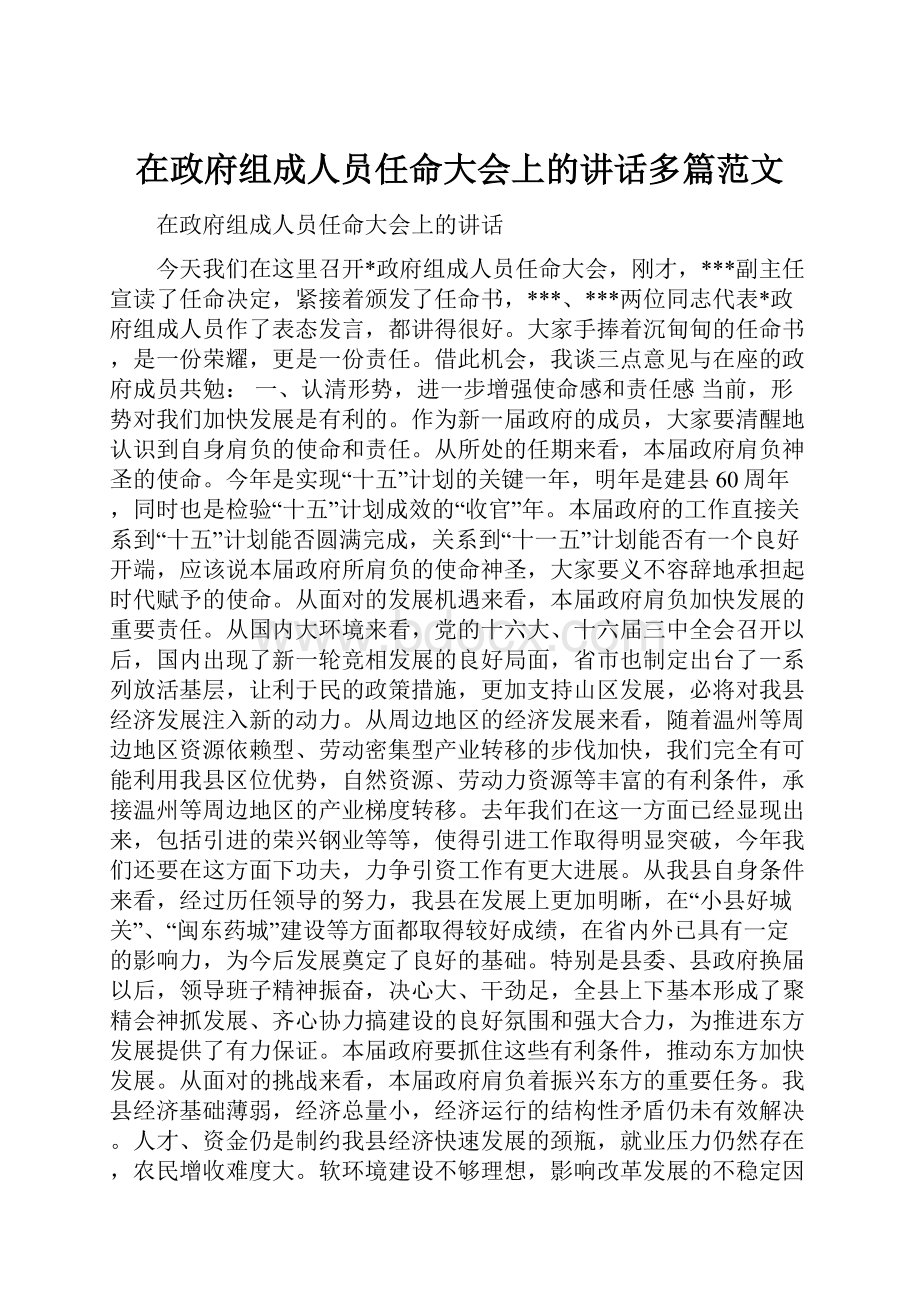 在政府组成人员任命大会上的讲话多篇范文.docx