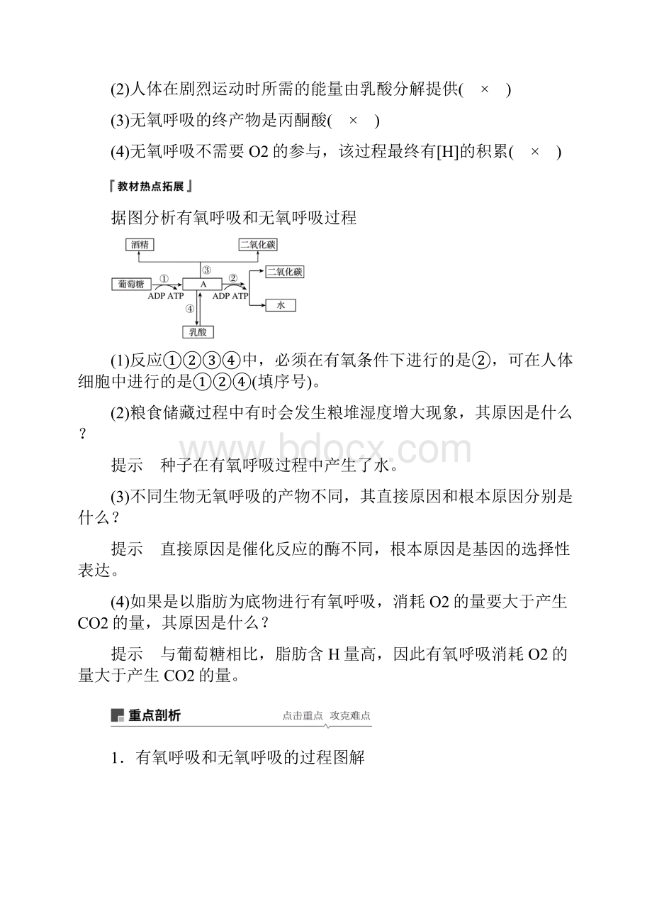 学年高考生物大一轮复习学案 第三单元 细胞的能量供应和利用 第8讲 细胞呼吸学案.docx_第3页